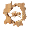 Abeille